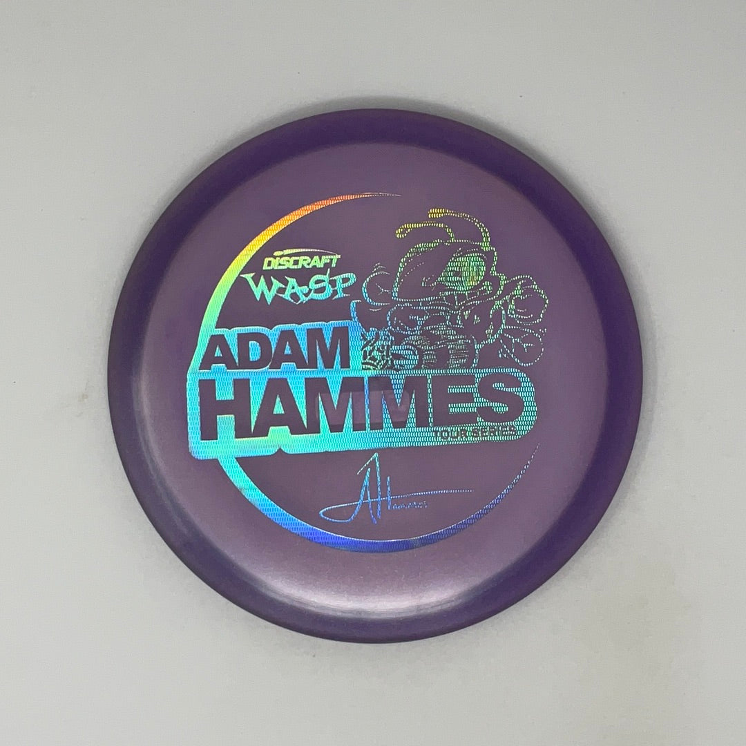 Wasp - Adam Hammes Tour Series