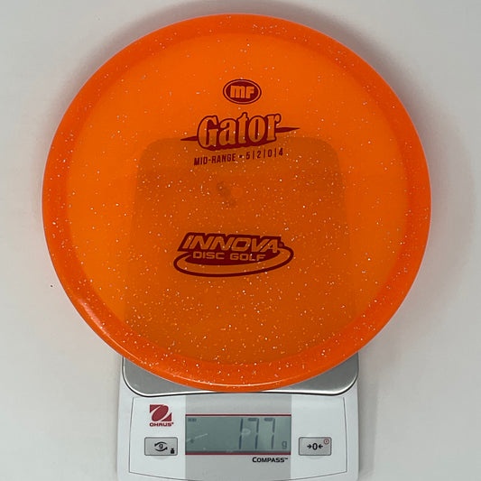 Gator - MF Champion